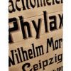 Phylax, Berlin - Image 2